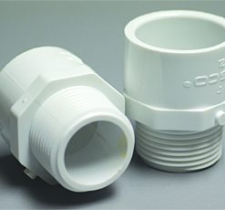 Male Adapter 1/2" MIPTxS