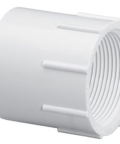 Female Adapter 1-1/4" SxFIPT