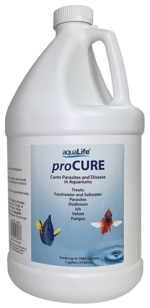 proCure 1 Gallon - Treats 7680 Gallons for parasites and fungus