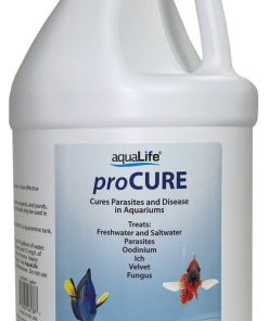 proCure 4 Gallons QTY Break - Treats 7680  Gallons for parasites and fungus